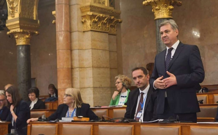 Zvizdić na Konferenciji EU: "U BiH se trenutno dešava državni udar"