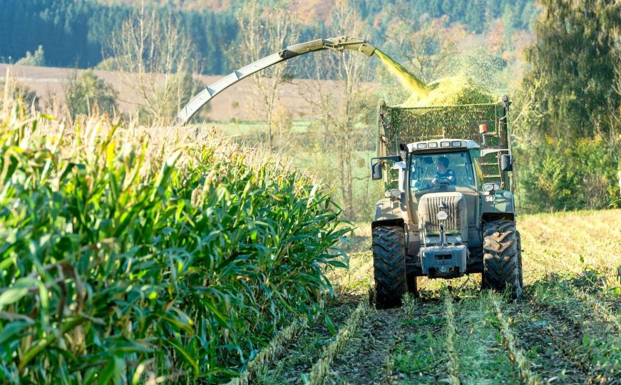 Radnici bježe iz BiH: Ni dnevnice od 100 KM ne mogu ih privući