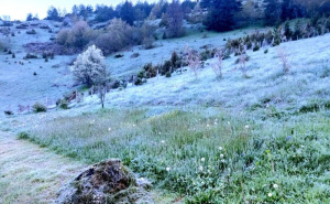 "Mraz sve okovao": Pogledajte prizore iz mjesta gdje je jutros bilo minus 5 stepeni