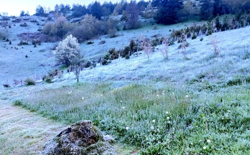 "Mraz sve okovao": Pogledajte prizore iz mjesta gdje je jutros bilo minus 5 stepeni