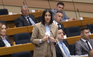 Višković sramotno vrijeđao zastupnicu u NSRS: "Sram vas bilo što ne rađate djecu"