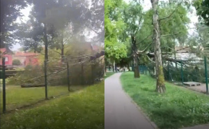 Nevrijeme pogodilo Zagreb: Vjetar čupao grane. Avioni odustali od slijetanja