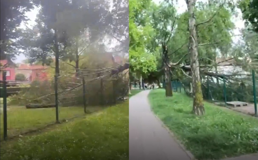 Nevrijeme pogodilo Zagreb: Vjetar čupao grane. Avioni odustali od slijetanja