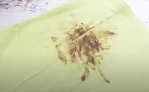 Jednostavno i jeftino: Uklonite mrlje sa odjeće i tepiha koristeći ovo