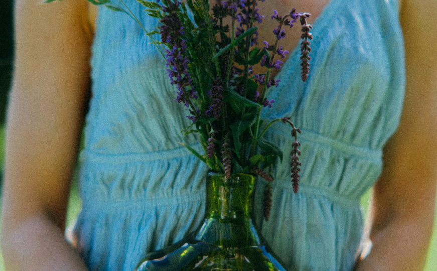 Korak do živahnijeg vrta: Ove biljke su naprosto neuništive, a gotovo da i nema posla oko njih