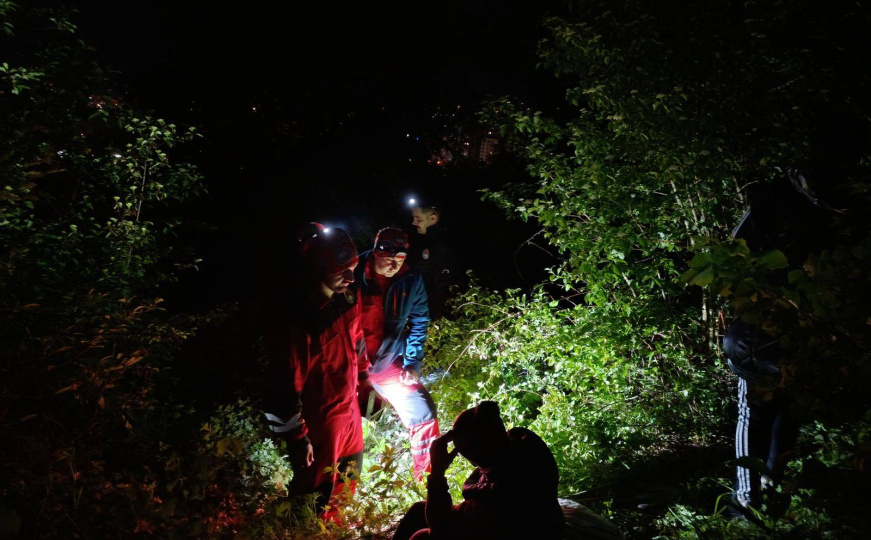 GSS podijelio detalje: Uspješno okončana potraga za Hasijom Purivatrom