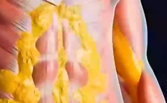 Šta se dešava s vašim tijelom ako ne jedete 36 sati? Simulacija otkriva šokantne promjene