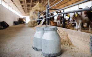 Srbija zabranila uvoz mlijeka iz Bosne i Hercegovine