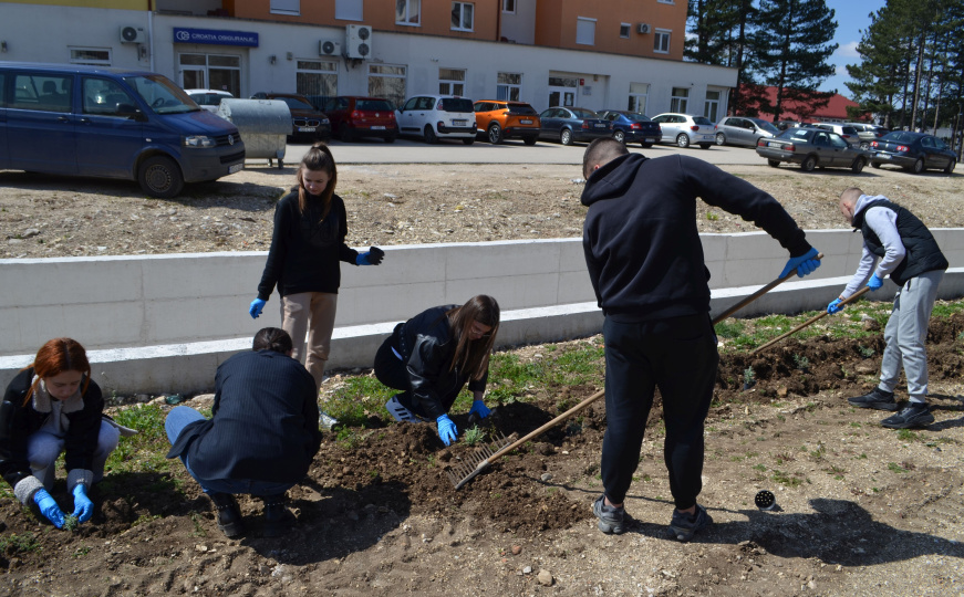 Borba protiv klimatskih promjena: BiH predvodi najveću koordinisanu sadnju medonosnog drveća