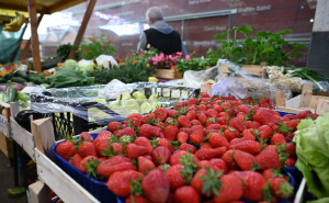 Savjeti za uspješan uzgoj jagoda: Ova metoda pruža sočnije i ukusnije plodove