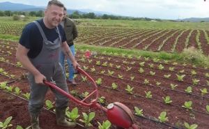 Zaštitar danju, zemljoradnik popodne, muzičar u duši: Životna priča Ante koji živi bez predaha