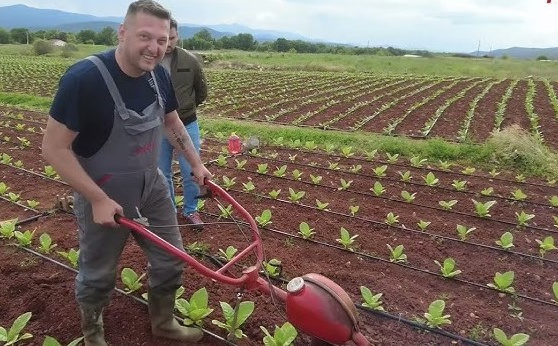 Zaštitar danju, zemljoradnik popodne, muzičar u duši: Životna priča Ante koji živi bez predaha