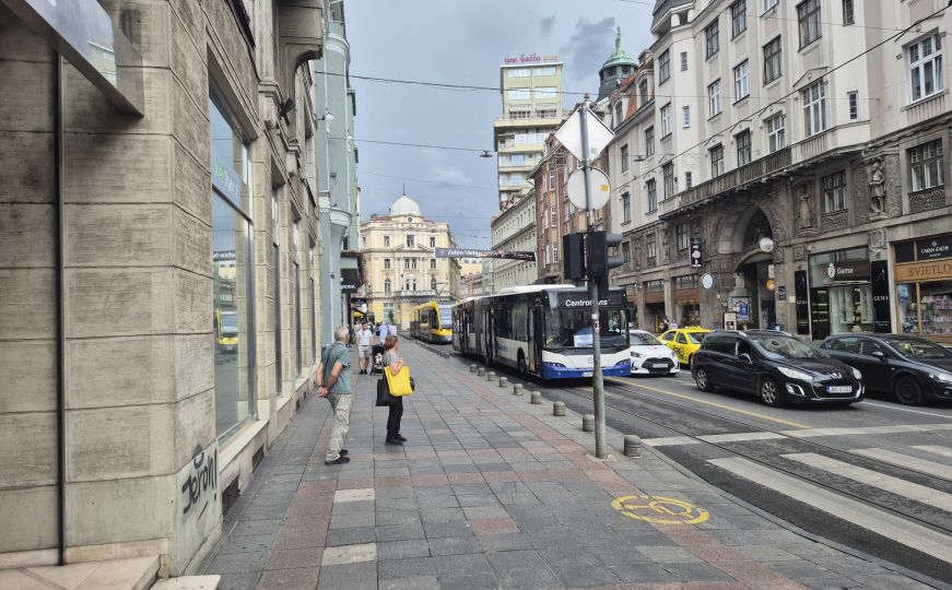 Ogorčene Sarajlije dijele fotografije: Pregažen pacov 500 metara od Vječne vatre