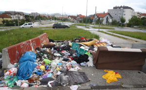 Leptospiroza se širi Sarajevom: Evo kakvo stanje smo zabilježili u naseljima Dobrinja i Švrakino