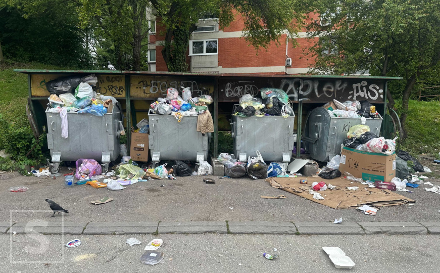 Smrad, smeće i strah od zaraze: Građani ogorčeni - pogledajte fotografije iz sarajevskih naselja