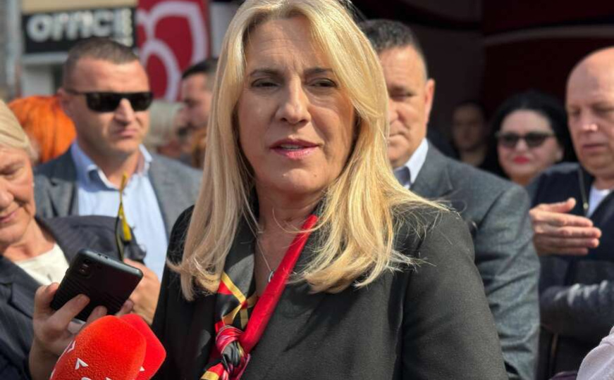 Cvijanović 'napala' francuskog izaslanika: 'Neprihvatljivo, samo doprinosite destabilizaciji BiH'