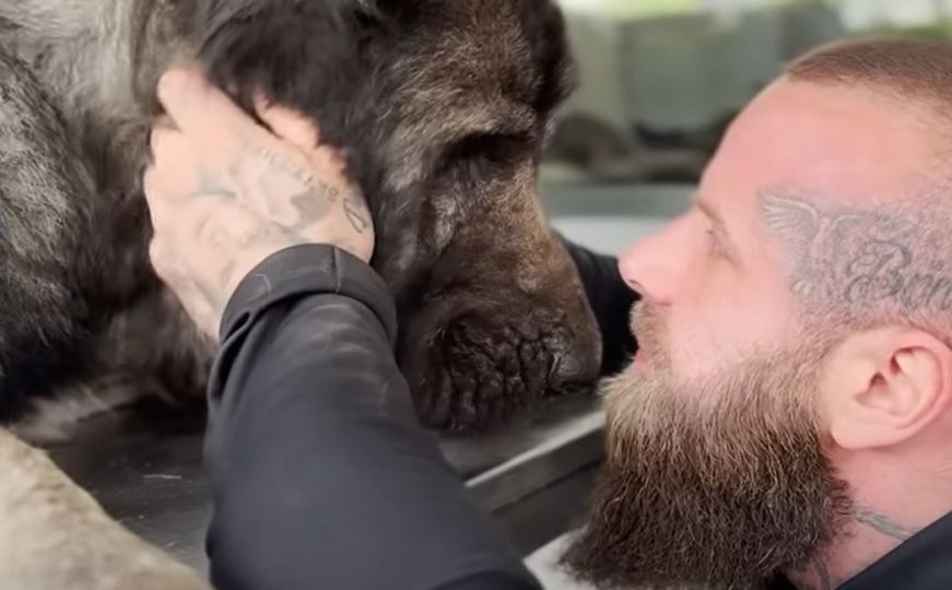 Bruno Jelović je napravio prvi ranč za pse u BiH: 'Želim da budemo primjer svijetu'