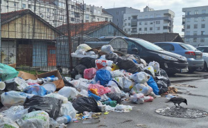 Leptospiroza stigla i u entitet RS: Šta je istina i šta trebate znati o opasnoj zarazi koja se širi