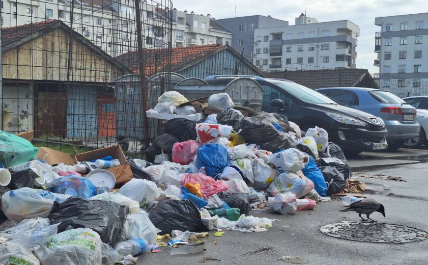 Leptospiroza stigla i u entitet RS: Šta je istina i šta trebate znati o opasnoj zarazi koja se širi