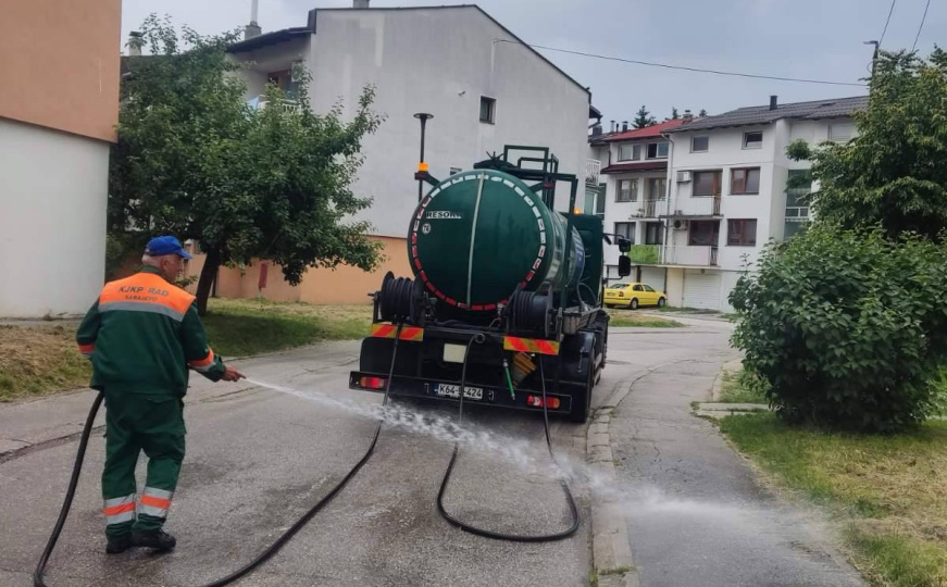 Slučaj mrtvog pacova ispred zgrade u Sarajevu: Kontaktirali smo KJKP Rad, evo šta kažu