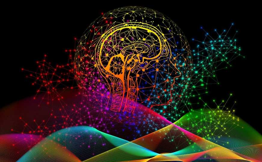 Nauka i percepcija: Kako svjetlost i mozak stvaraju naš svijet u bojama