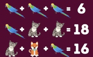 Moždano razgibavanje: Možete li otkriti koji se brojevi kriju iza životinja za manje od 15 sekundi?