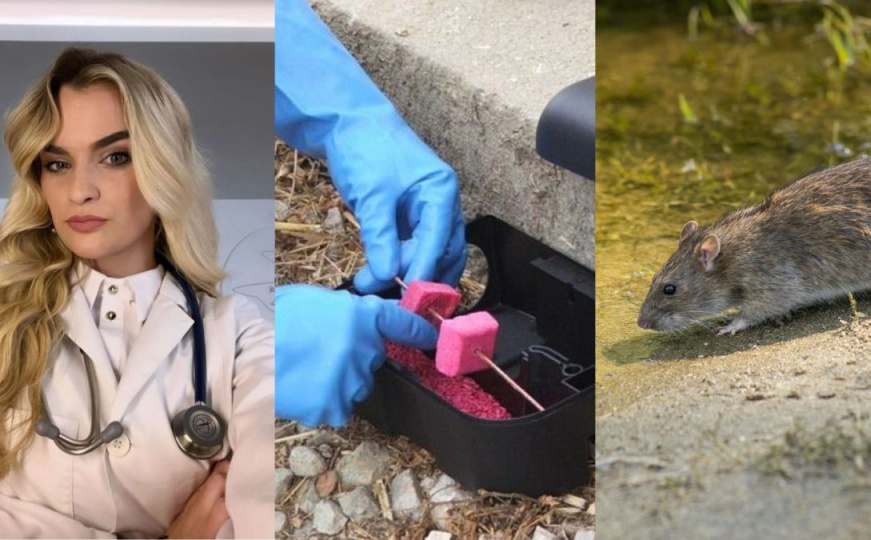 Epidemija leptospiroze: Stručnjaci upozoravaju - moguće je širenje, evo šta se mora uraditi