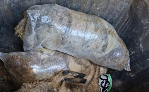 Kurban bajram: Pravilno odlaganje životinjskog otpada je vjerska i društvena obaveza