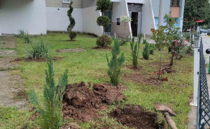 Građani Sarajeva u akciji: Svojim rukama pretvorili zapuštenu zelenu površinu u pravi mali raj