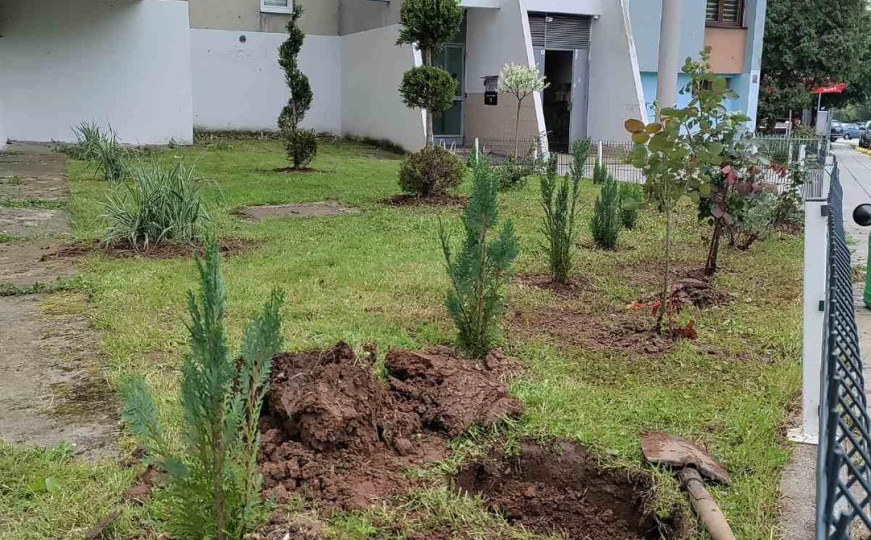 Građani Sarajeva u akciji: Svojim rukama pretvorili zapuštenu zelenu površinu u pravi mali raj