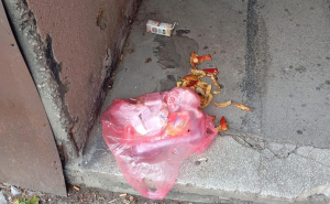 KJKP RAD upozorava: Neodgovorno odlaganje otpada privlači glodare i ugrožava zdravlje građana