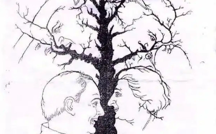 Trka s vremenom koju većina izgubi: Svega 8 posto ljudi pronađe svih 10 lica u manje od jedne minute