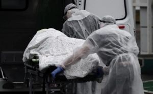 Opasna zaraza hara Njemačkom: U Bavarskoj umro muškarac koji je bio zaražen Borna virusom