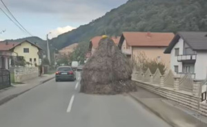 "Ovo je Bosna": Traktor pretovaren sijenom izazvao lavinu komentara