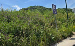 Objavljene fotografije iz centra Hadžića: 'Ovakvo stanje može ugroziti zdravlje i živote ljudi'
