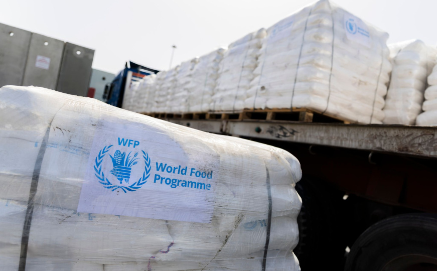 Jasan stav: Većina Nijemaca za obustavu izvoza oružja Izraelu