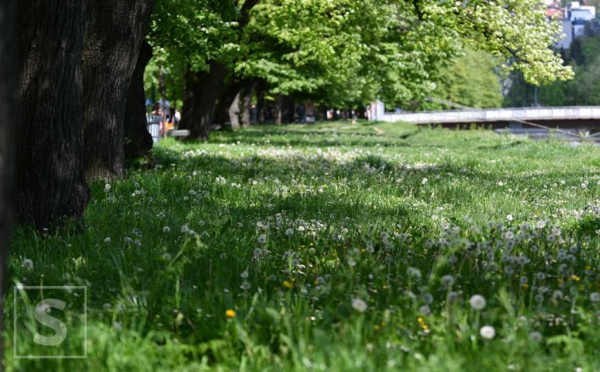 Upozorenje za građane Kantona Sarajevo: Povećani rizici od alergijskih reakcija