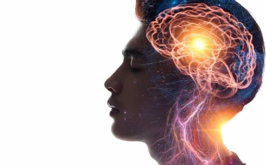 Šta mozak vidi i pamti? Naučnici otkrili ključ vizualnog prepoznavanja