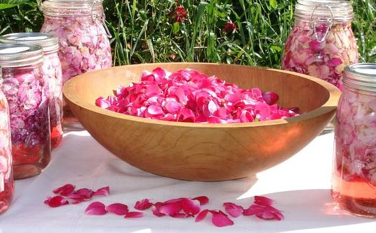 Tradicionalni sirup od đulbe-šećer ruže: Kako pripremiti osvježavajući domaći napitak