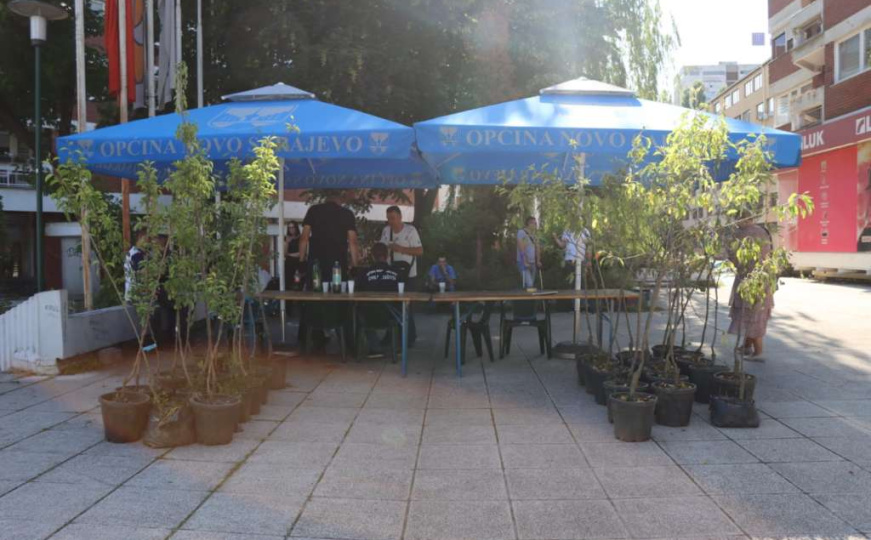 Svijest o značaju zelenila: Evo kada počinje podjela 280 sadnica voća u Općini Novo Sarajevo