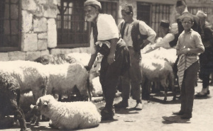 Zaboravljeni prizori Sarajeva: Bajramska atmosfera iz vremena kad se kurban kupovao na čaršiji