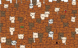 Mozgalica samo za one s visokim IQ-om: Možete li za 15 sekundi pronaći 3 kokosa među medvjedima?