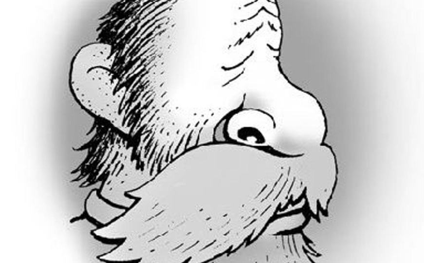 Samo deset posto ljudi uspije pronaći psa na ovoj optičkoj iluziji: Možete li vi?