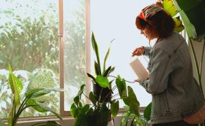 Za početnike: Jednostavan trik s olovkom koji čuva vaše biljke