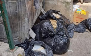 Sramotno: Zar ovako čuvamo zdravlje građana? Ostatke kurbana bacili pored kontejnera