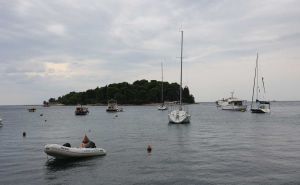 Nezgodne vijesti pred ljetnu sezonu, naučnici otkrili: 'Da, od sada je stalni stanovnik Jadrana'