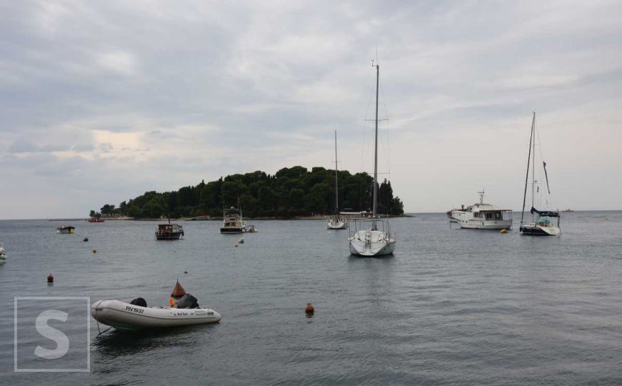 Nezgodne vijesti pred ljetnu sezonu, naučnici otkrili: 'Da, od sada je stalni stanovnik Jadrana'