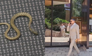 'Zmijski ples' u Domu naroda PS FBiH: Za danas otkazana sjednica, naređena istraga