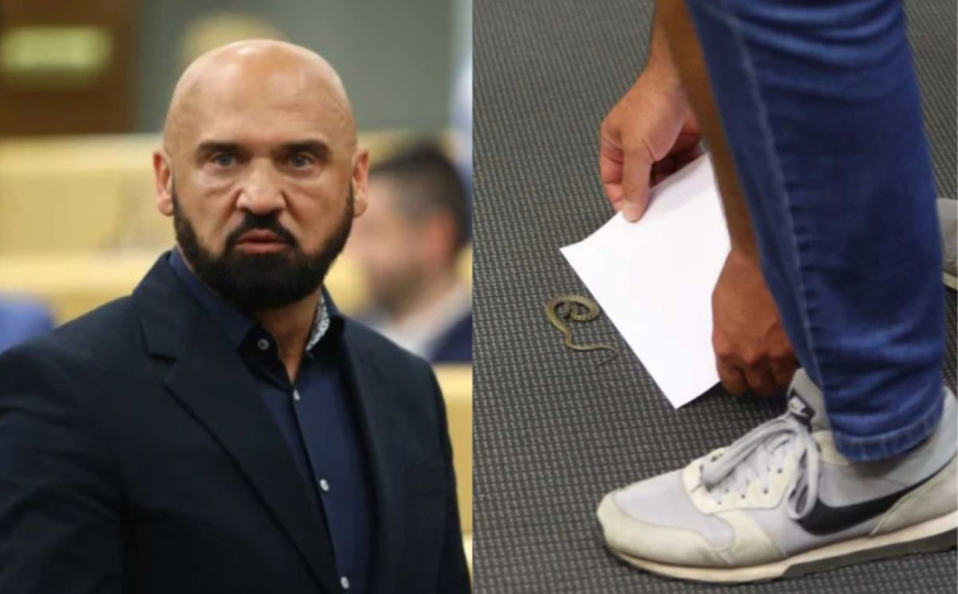 'Slučaj zmije' u Parlamentu FBiH, Kolegij Doma naroda odgovorio Rami Isaku: 'Neka radi svoj posao'
