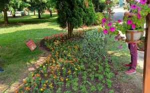 Pionirska dolina zablistala u ljetnom ruhu: Posađeno novo cvijeće - sve je spremno za posjetioce